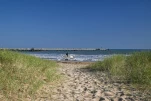 saint-jean-de-monts-plage-et-foret-DSC 2968