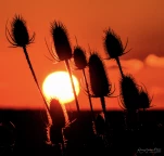 Coucher-soleil-cardere-DSC 6912