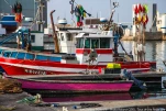 bateaux-de-peche-IMG 9178